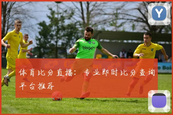 体育比分直播：专业即时比分查询平台推荐