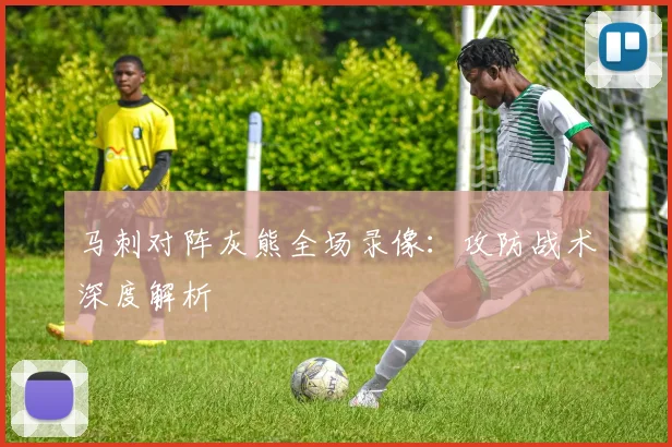 马刺对阵灰熊全场录像：攻防战术深度解析