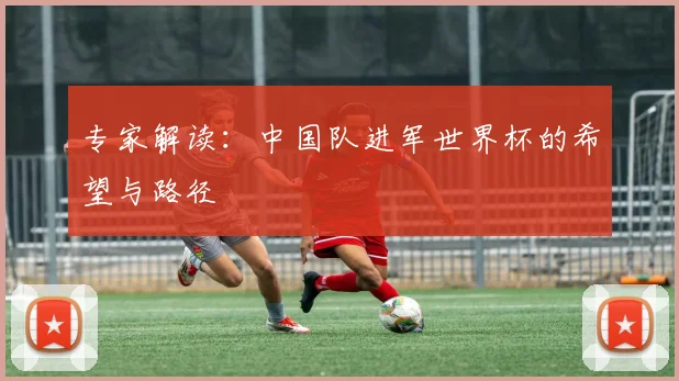 专家解读：中国队进军世界杯的希望与路径