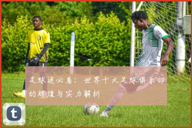 足球迷必看：世界十大足球俱乐部的辉煌与实力解析