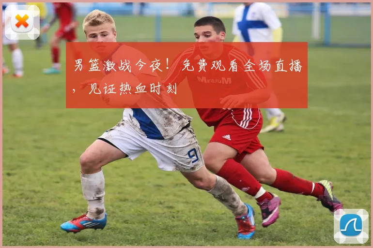 男篮激战今夜！免费观看全场直播，见证热血时刻