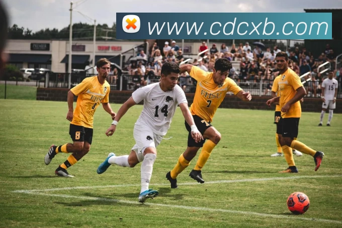 App Interface Preview