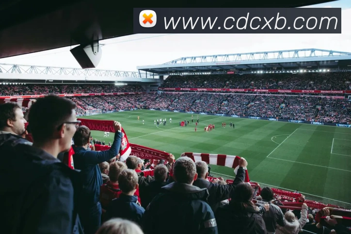 米兰官网登录入口APP 封面图